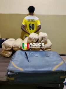 Ziguinchor : un présumé trafiquant arrêté avec 12 kg de chanvre indien