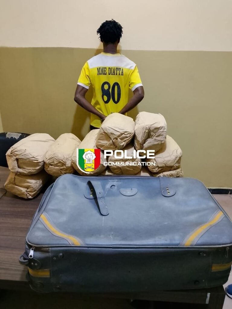 Ziguinchor : un présumé trafiquant arrêté avec 12 kg de chanvre indien