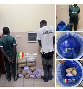 Kaolack : Fin de cavale pour deux trafiquants et saisie de 15 kg de chanvre indien par la BRS