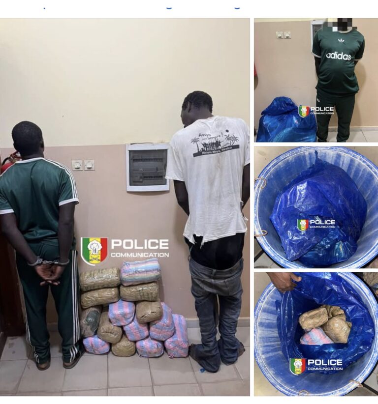 Kaolack : Fin de cavale pour deux trafiquants et saisie de 15 kg de chanvre indien par la BRS