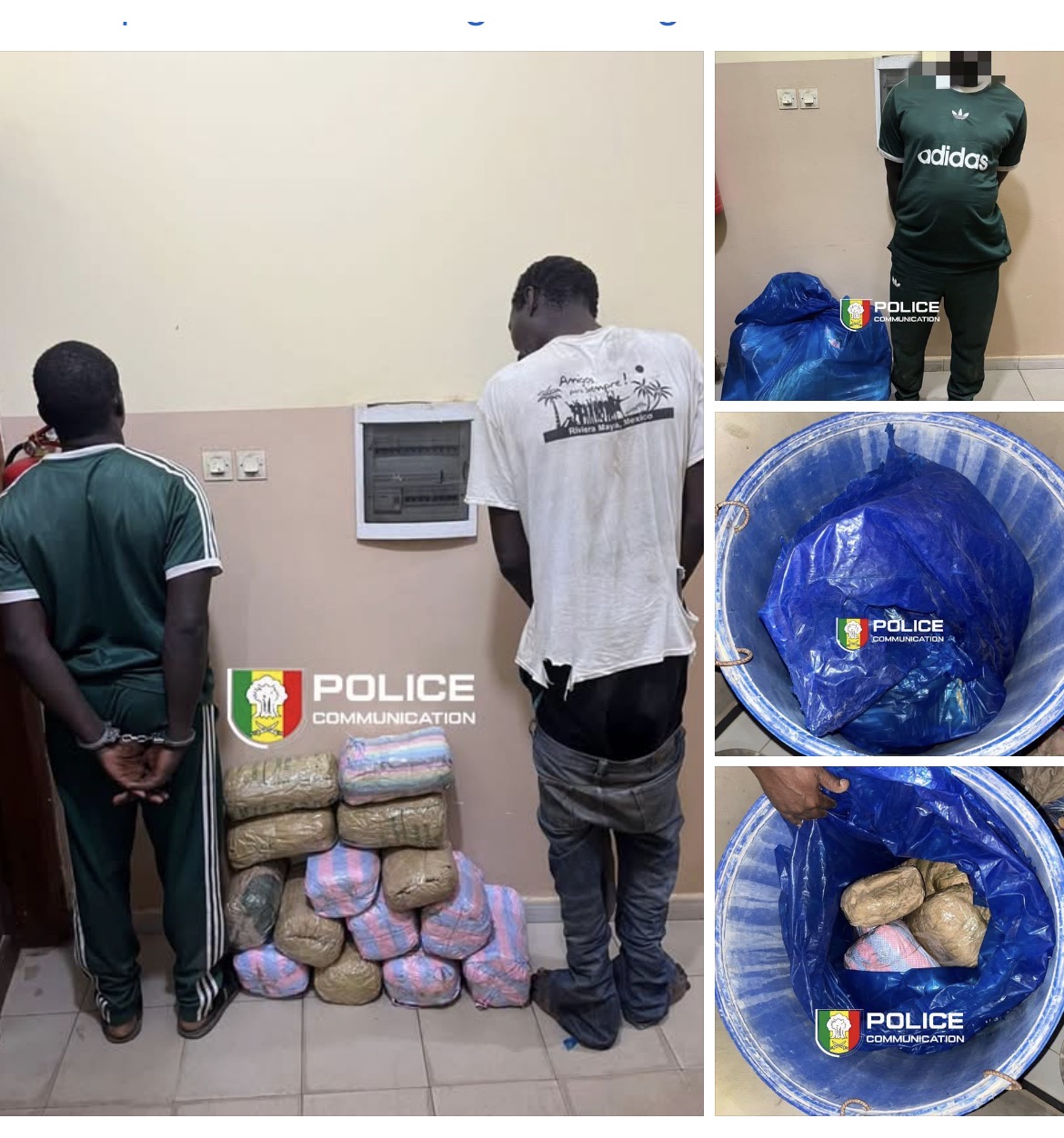 Kaolack : Fin de cavale pour deux trafiquants et saisie de 15 kg de chanvre indien par la BRS