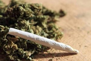 Thiès : Les aveux d&rsquo;un jeune de 19 ans attrait à la barre pour usage de yamba