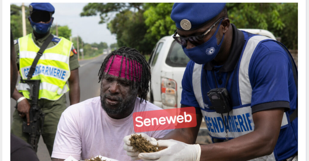 Détention de drogue : Après Liss Ndiago et Papa Boy Djiné, le lutteur Coly Faye 2 arrêté par la gendarmerie