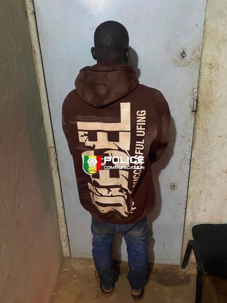 Kédougou : 11 500 comprimés de Tramadol saisis, un individu interpellé