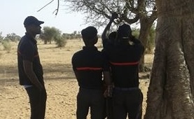 Sédhiou : un père de 6 enfants mineurs retrouvé pëndü à un arbre…