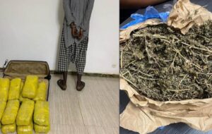 Trafic de drogue : Coup dur des douaniers de Nioro contre les réseaux de passeurs