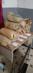 Ziguinchor : deux individus interpellés avec 13 kg de chanvre indien