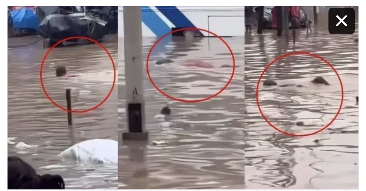 Inondations à Grand-Yoff : La vidéo devient virale, un homme filmé en train de… (vidéo)