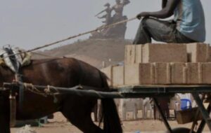 Diamaguène : Un charretier de 13 ans perd le contrôle de son cheval et meurt dans un accident
