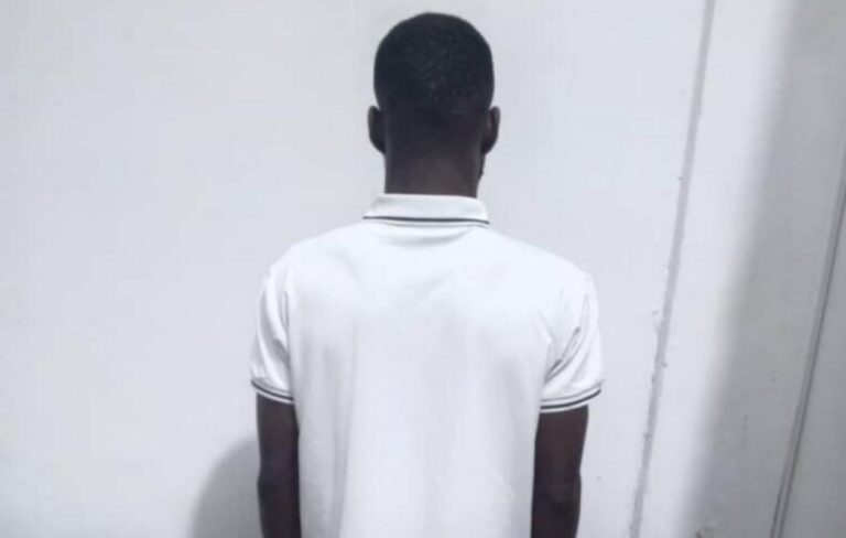 Vol d’un IPhone 17 en duo à Liberté 6 : un suspect arrêté, son complice recherché