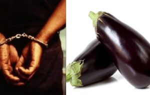 Cayar : il vole des aubergines pour se nourrir et écope de deux mois de prison ferme…