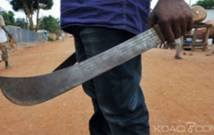 Une altercation entre berger et cultivateurs finit à la machette et aux flagrants délits de Thiès