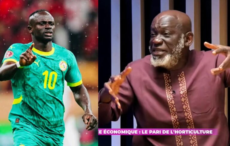 Agribusiness : Le projet « SM10 Agro » de Sadio Mané critiqué par un expert de la filière mangue