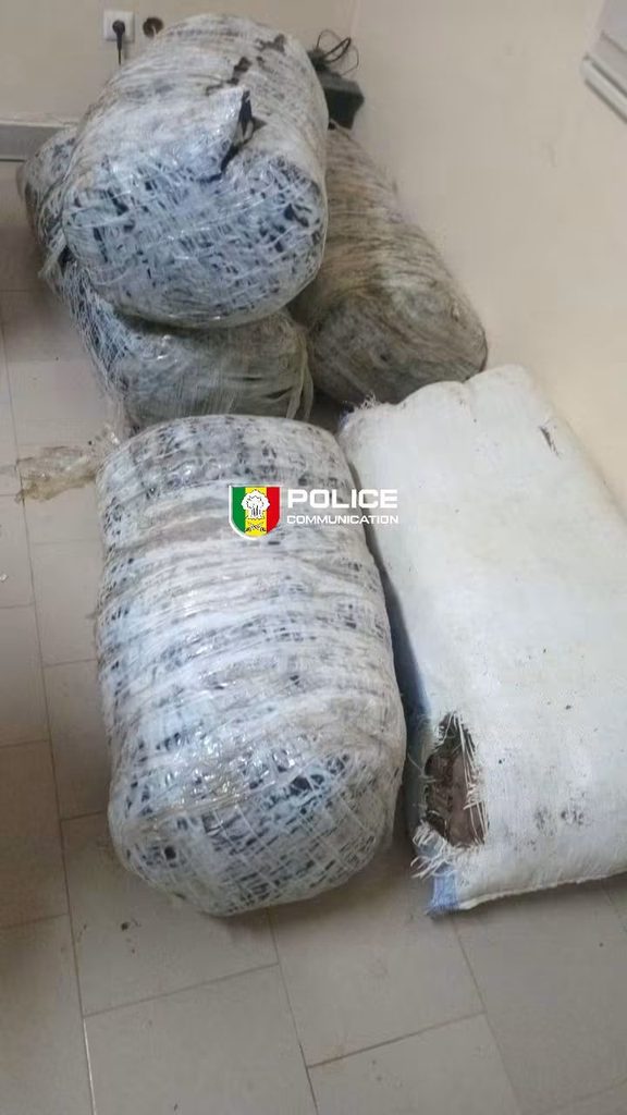 Lutte contre la criminalité : La BRS de Thiès neutralise une importante cargaison de drogue à Mbour