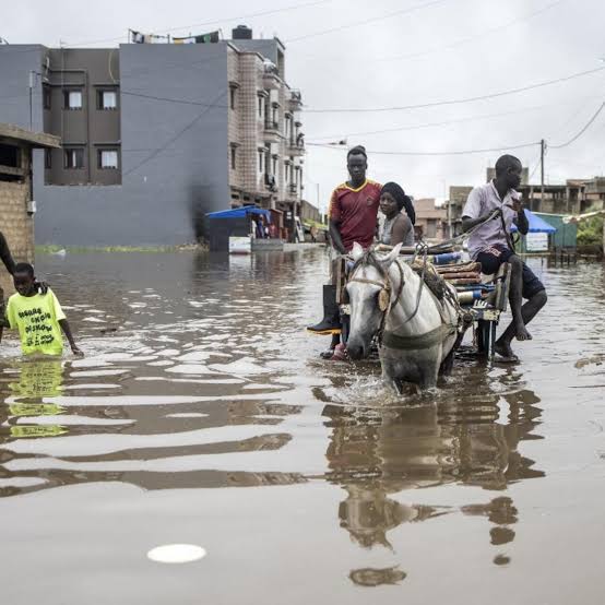 Inondations mortelles au Sénégal : Le Premier ministre Al Aminou Lo convoque une réunion d&rsquo;urgence