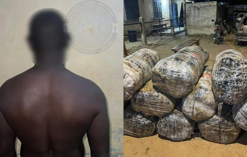 Trafic de drøgue à Mbodiène : La compagnie de Mbour intercepte 12 colis de chanvre indien