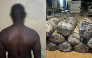 Trafic de drøgue à Mbodiène : La compagnie de Mbour intercepte 12 colis de chanvre indien